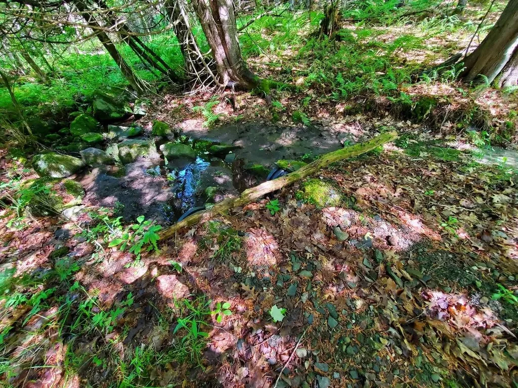 92 Huff Road Cornville ME 04976