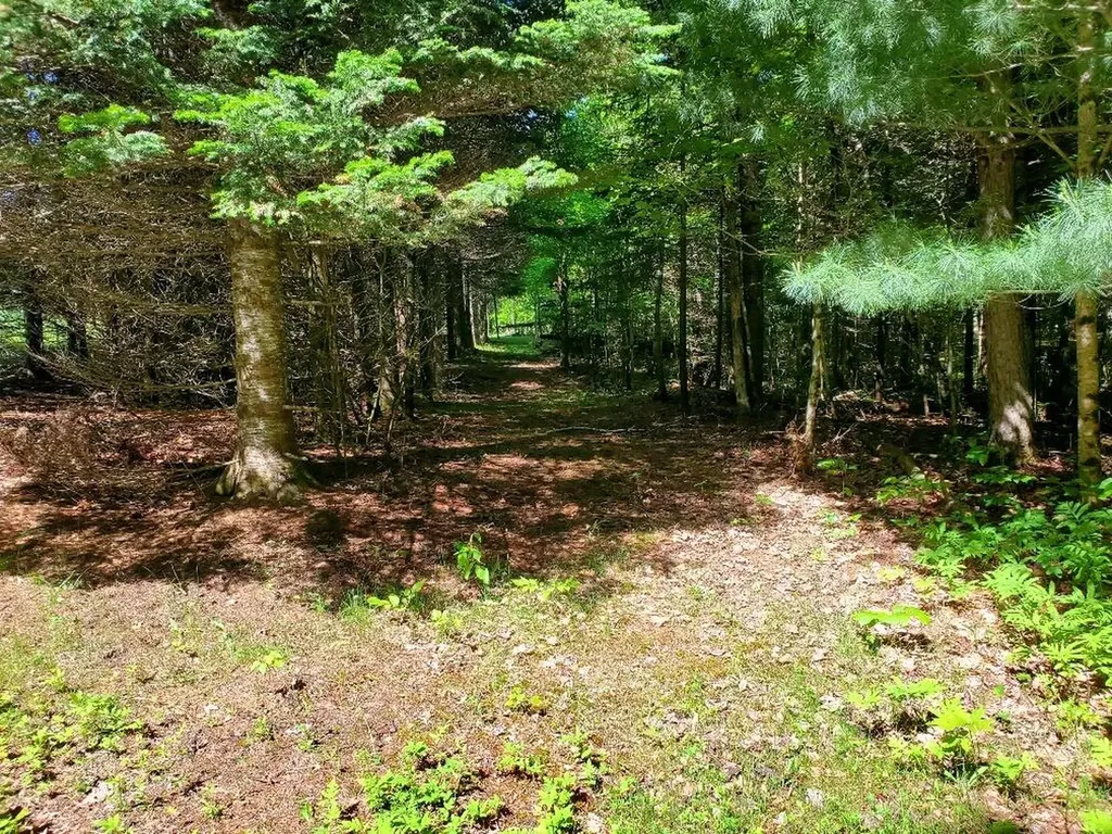 92 Huff Road Cornville ME 04976