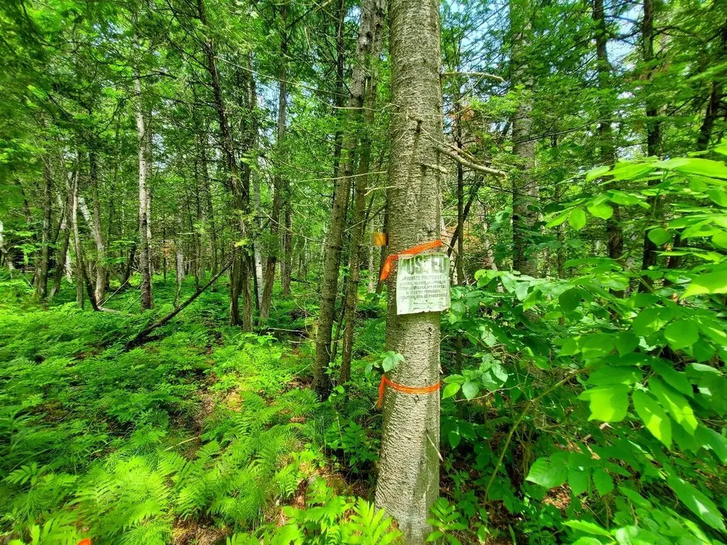92 Huff Road Cornville ME 04976