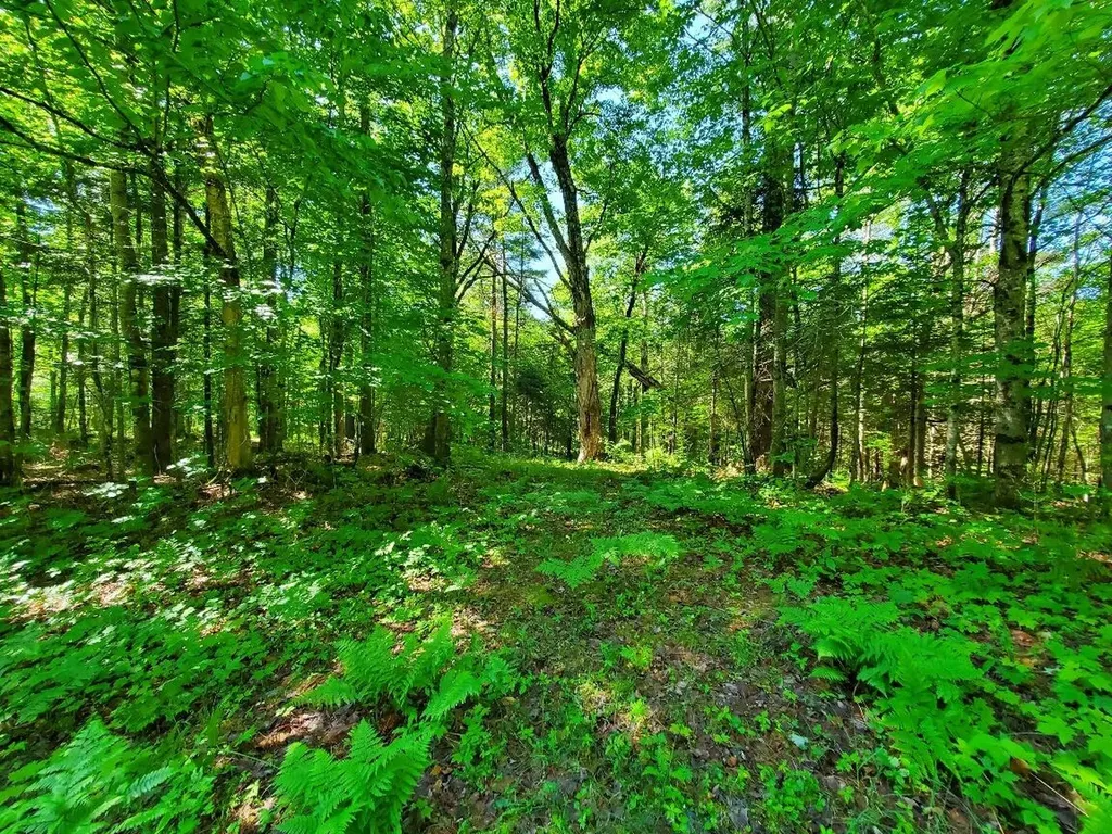 92 Huff Road Cornville ME 04976