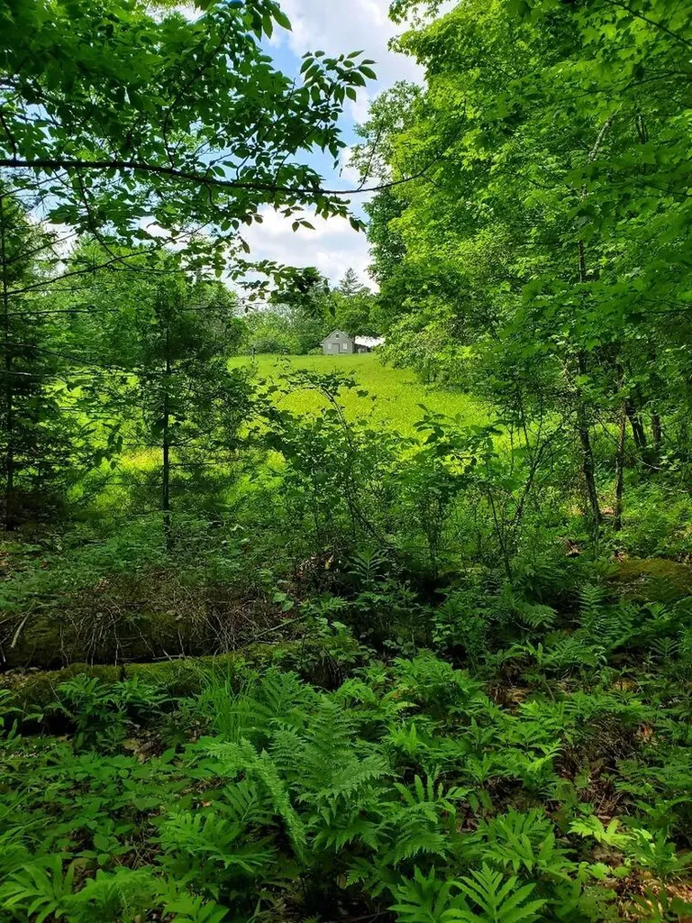 92 Huff Road Cornville ME 04976