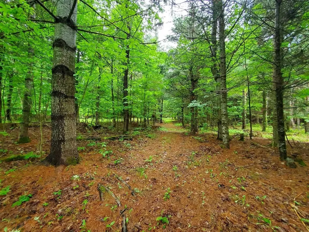 92 Huff Road Cornville ME 04976