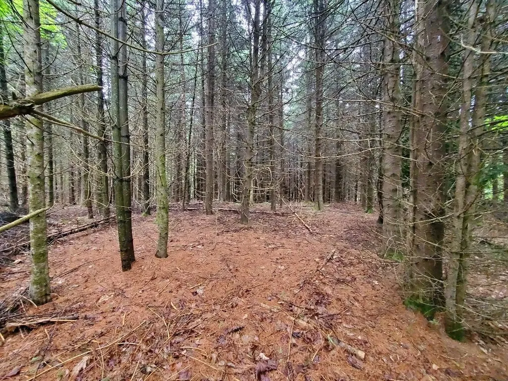 92 Huff Road Cornville ME 04976