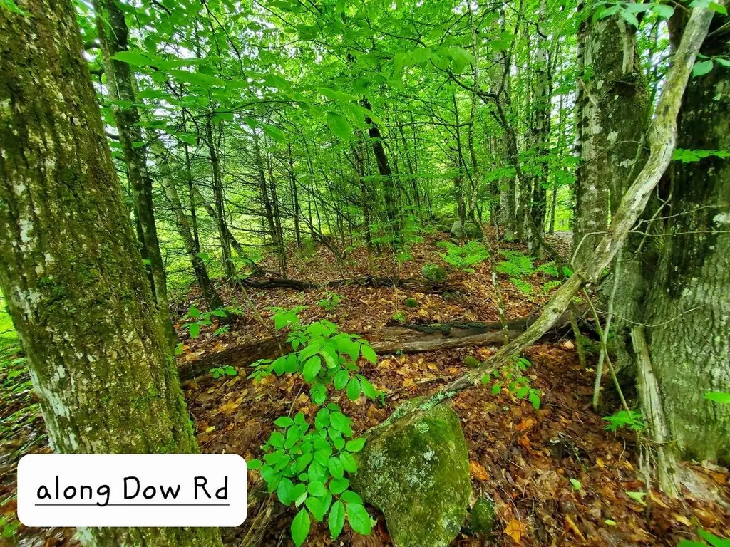 92 Huff Road Cornville ME 04976