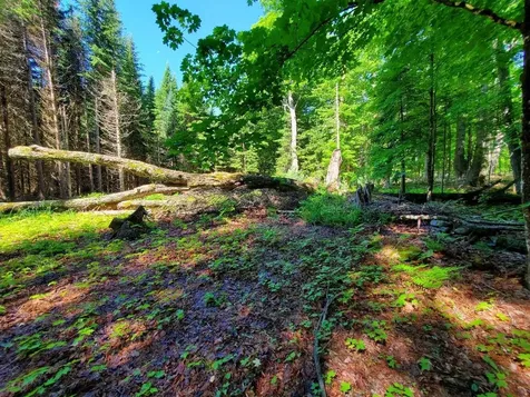92 Huff Road Cornville ME 04976