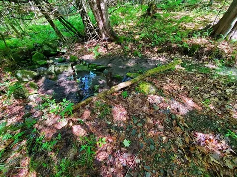 92 Huff Road Cornville ME 04976
