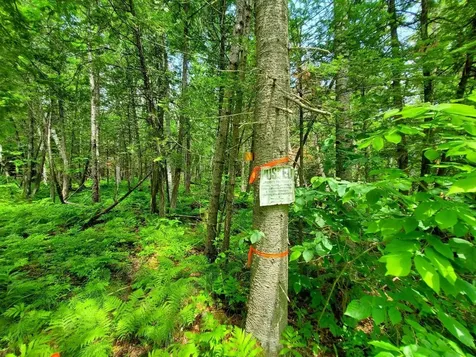 92 Huff Road Cornville ME 04976