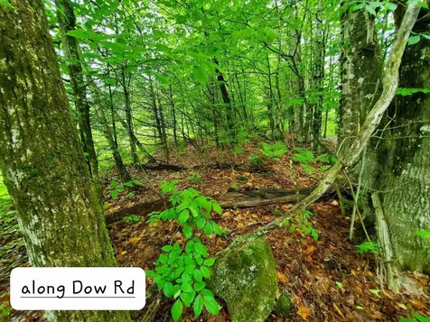 92 Huff Road Cornville ME 04976