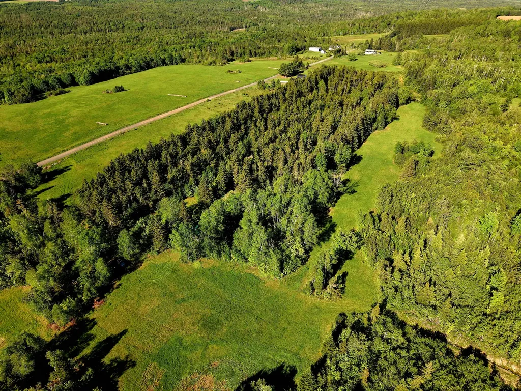 M5L50D Rista Road New Sweden ME 04762