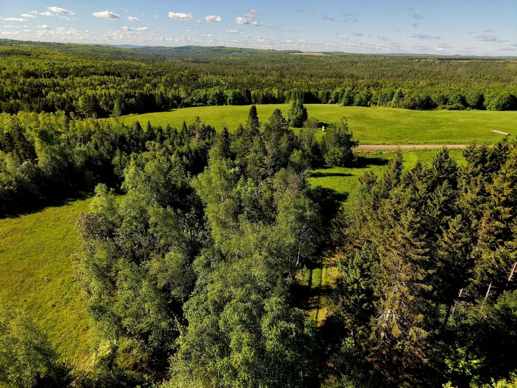 M5L50D Rista Road New Sweden ME 04762
