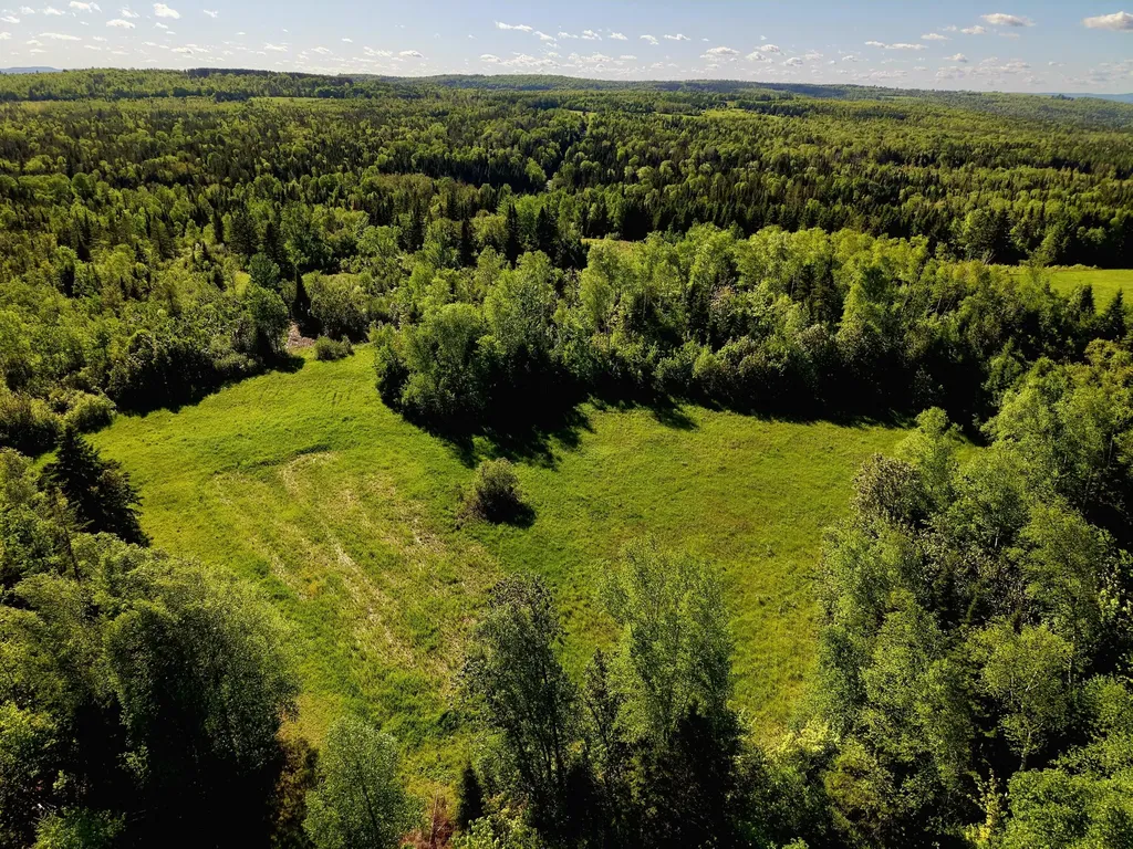 M5L50D Rista Road New Sweden ME 04762