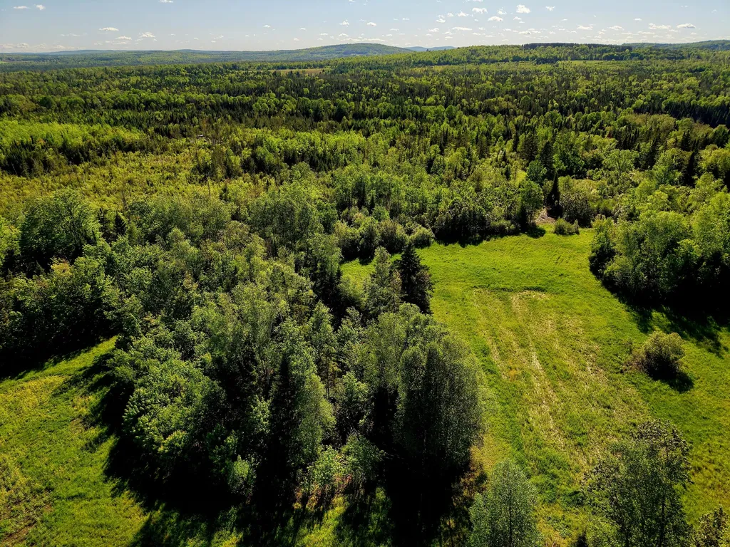 M5L50D Rista Road New Sweden ME 04762