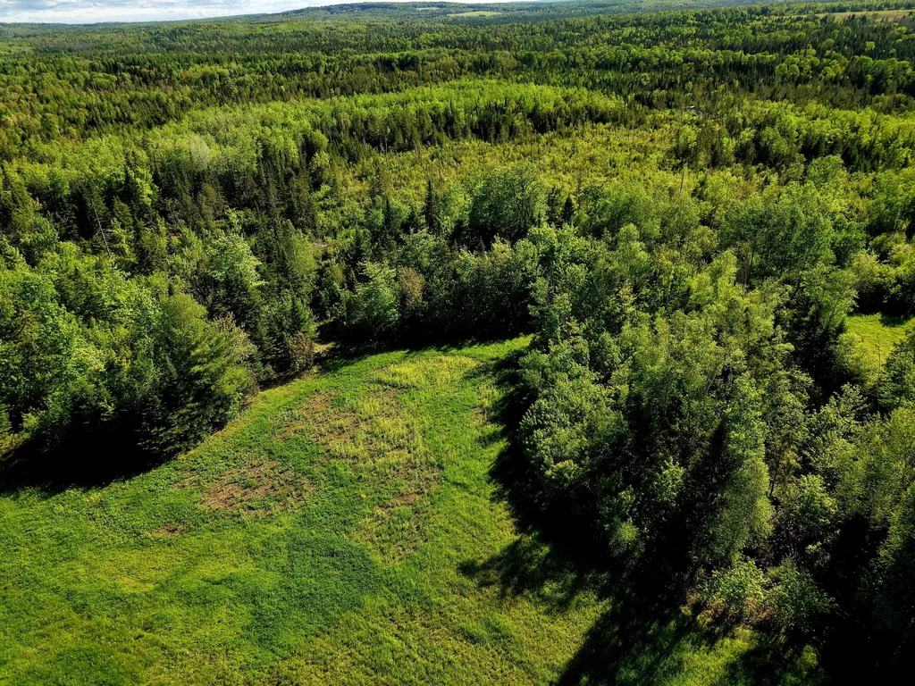 M5L50D Rista Road New Sweden ME 04762