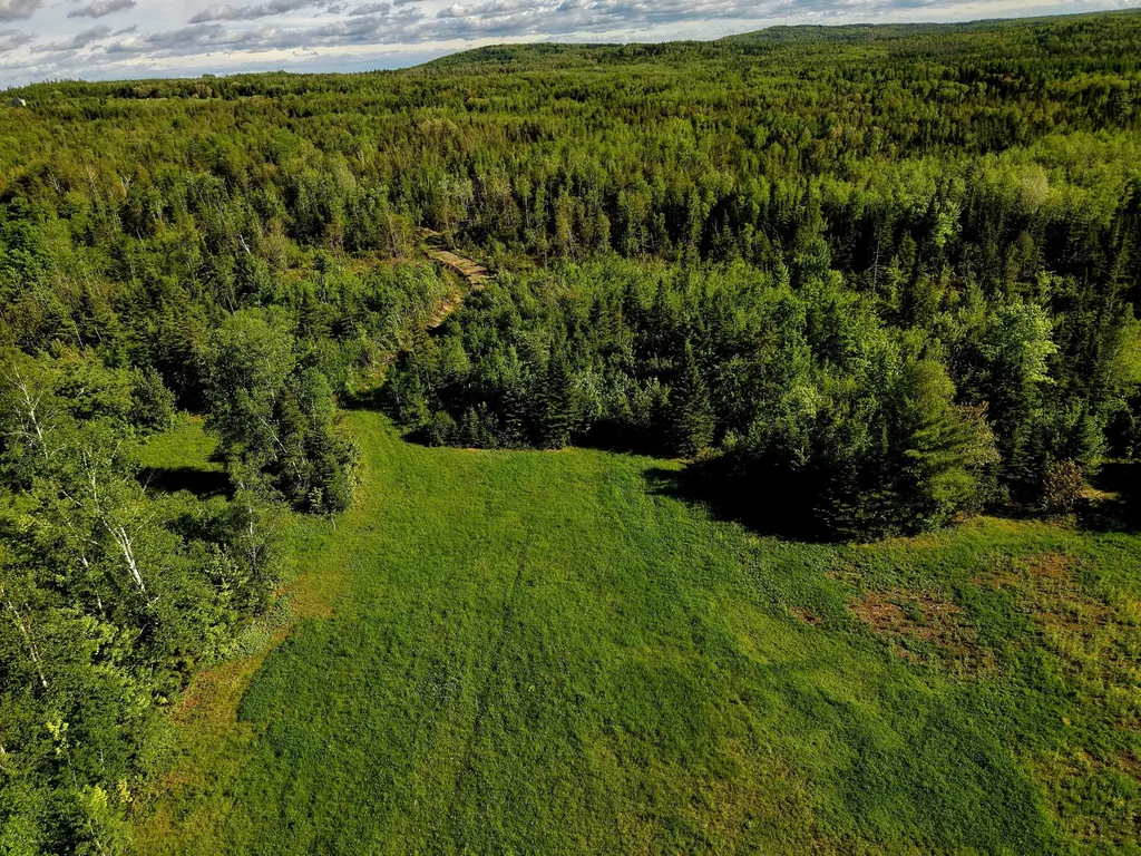 M5L50D Rista Road New Sweden ME 04762