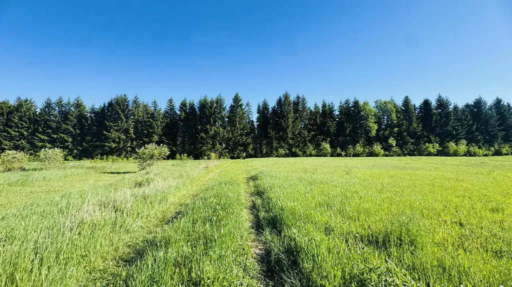 M5L50D Rista Road New Sweden ME 04762