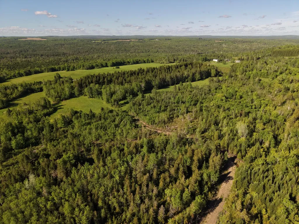 M5L50D Rista Road New Sweden ME 04762