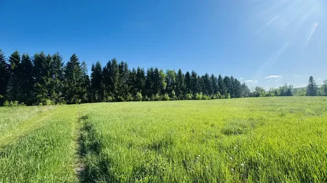 M5L50D Rista Road New Sweden ME 04762