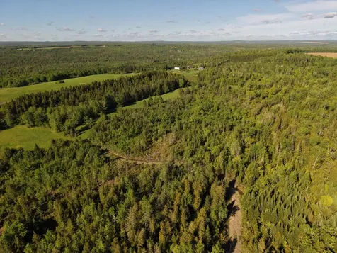 M5L50D Rista Road New Sweden ME 04762