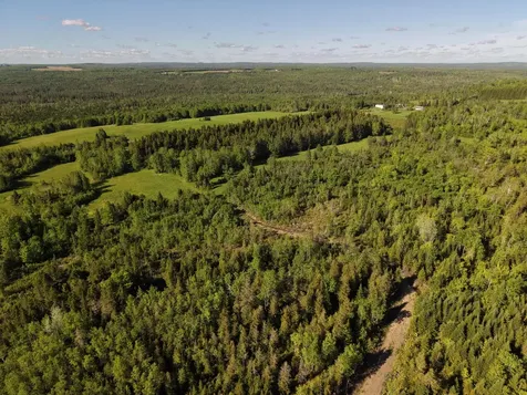 M5L50D Rista Road New Sweden ME 04762