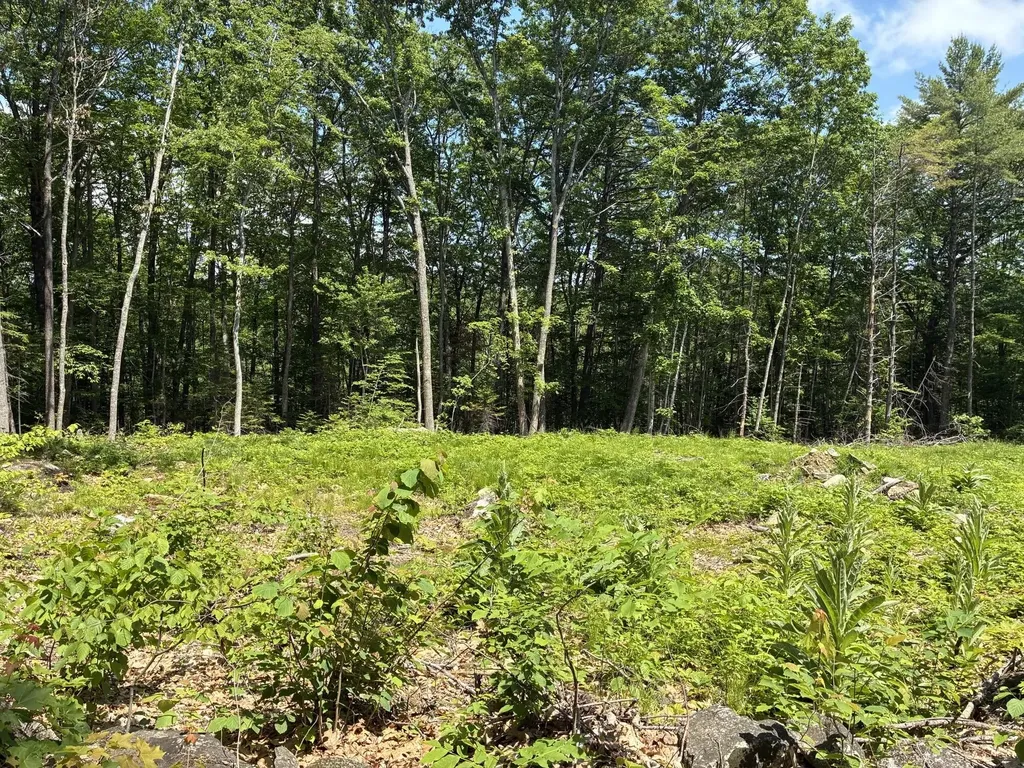 MAP7LOT40 Round The Pond Road Norway ME 04268
