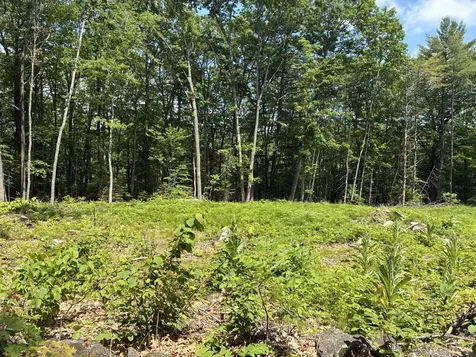 MAP7LOT40 Round The Pond Road Norway ME 04268