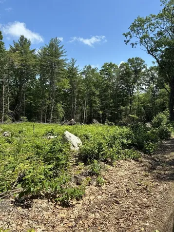 MAP7LOT40 Round The Pond Road Norway ME 04268
