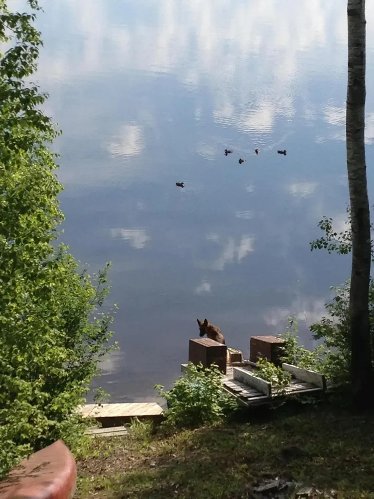 7 Overlook Drive Portage Lake ME 04768