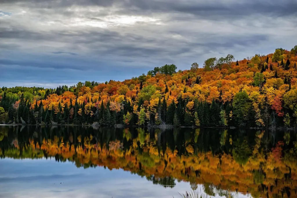 7 Overlook Drive Portage Lake ME 04768