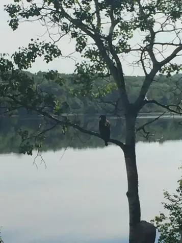 7 Overlook Drive Portage Lake ME 04768