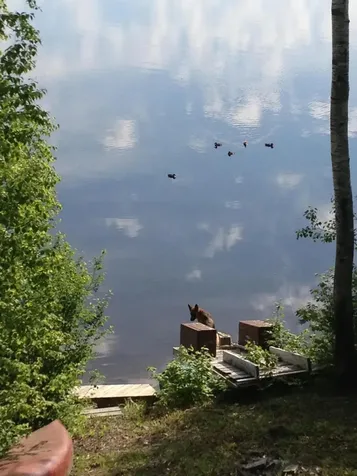 7 Overlook Drive Portage Lake ME 04768