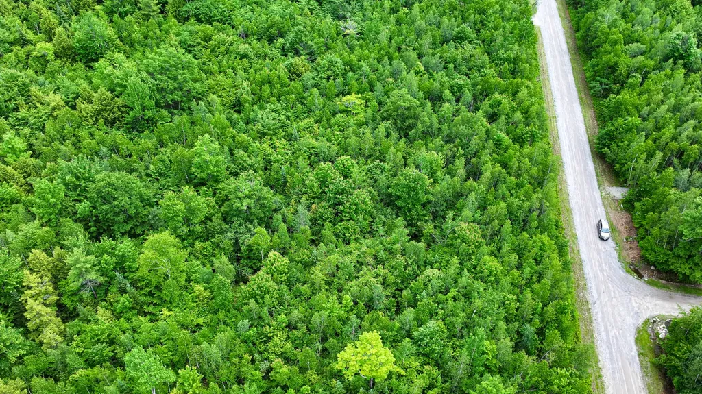 Lot 11 Moonlight Drive Harrison ME 04040