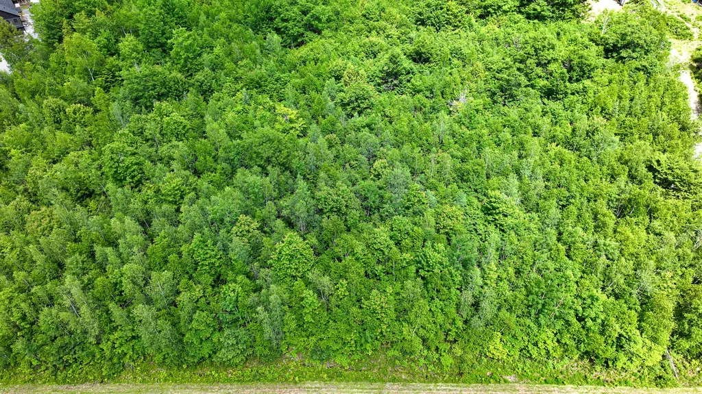 Lot 11 Moonlight Drive Harrison ME 04040