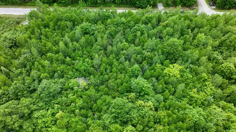 Lot 11 Moonlight Drive Harrison ME 04040