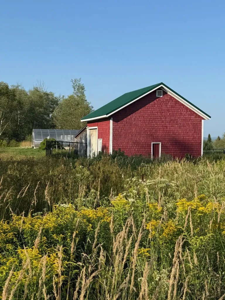 108 Cyr Road Grand Isle ME 04746