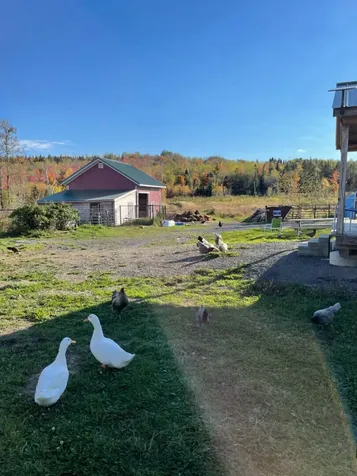 108 Cyr Road Grand Isle ME 04746