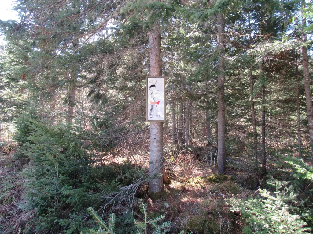 S0015 Push S0015 Pushard Lane Upper Enchanted Twp ME 04945