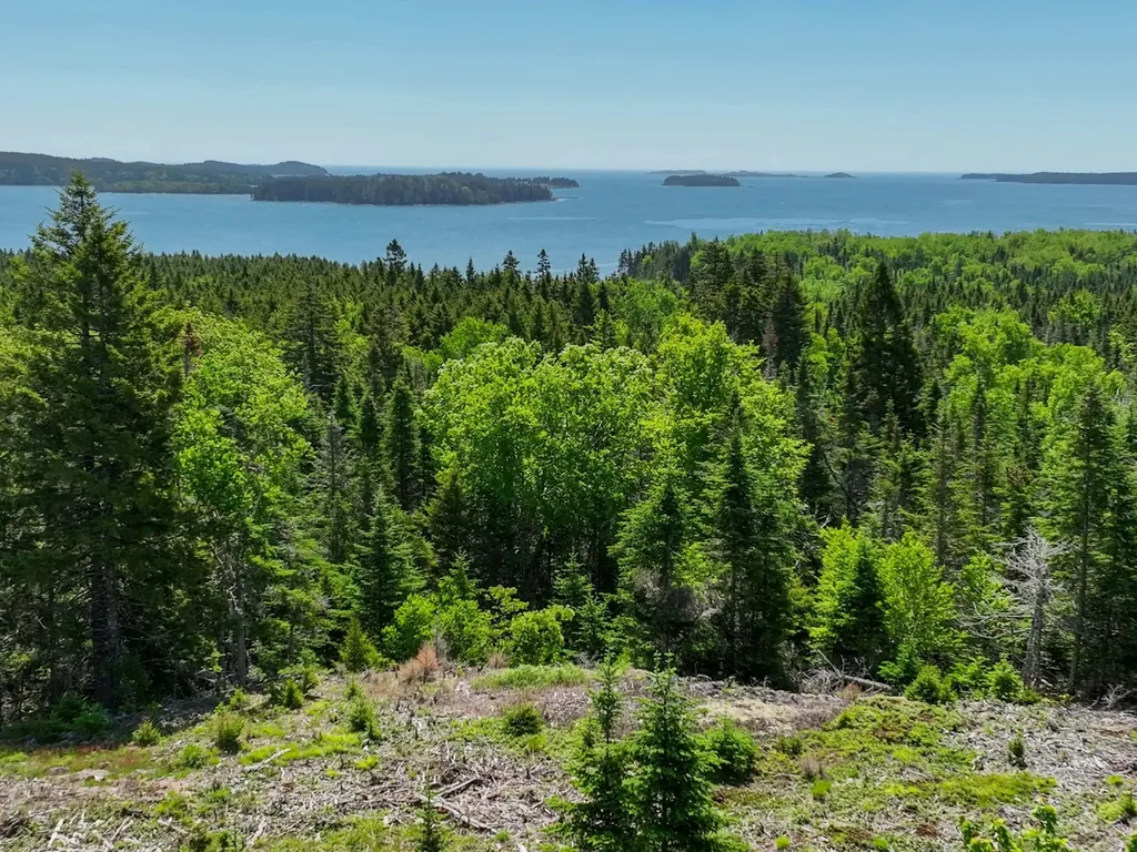 M2 L6-3e Nepp Point Road Roque Bluffs ME 04654
