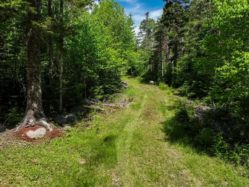 M2 L6-3e Nepp Point Road Roque Bluffs ME 04654