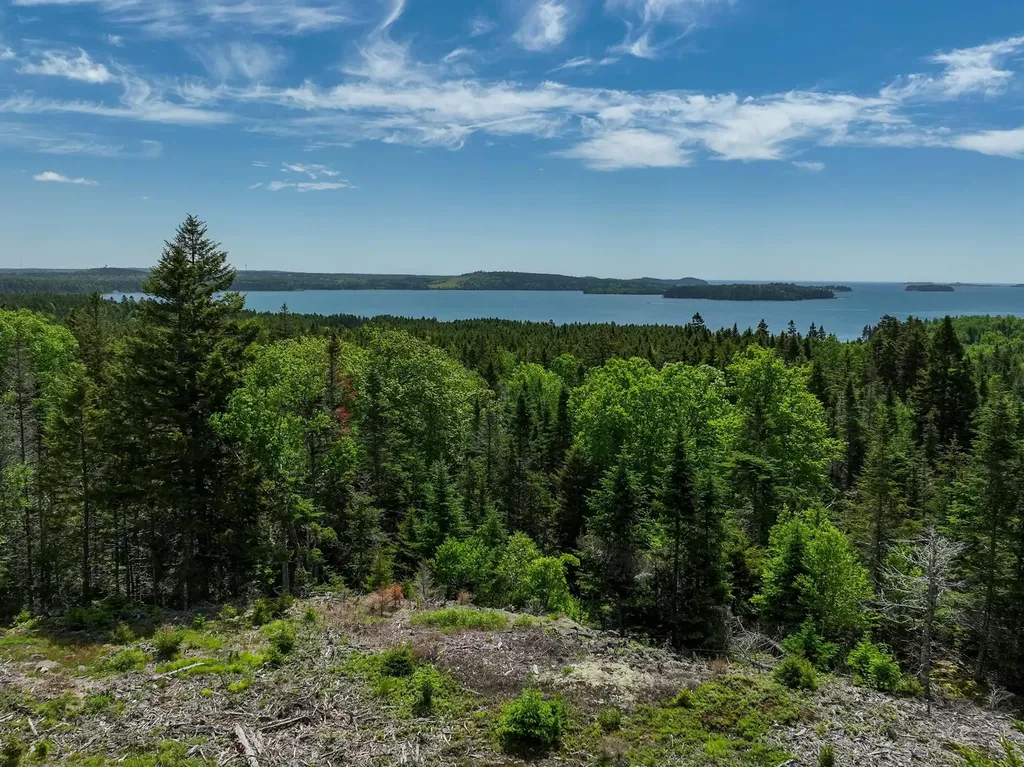 M2 L6-3e Nepp Point Road Roque Bluffs ME 04654