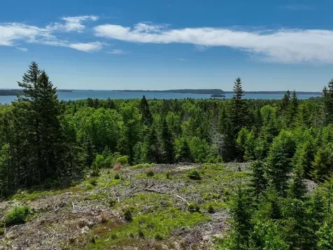 M2 L6-3e Nepp Point Road Roque Bluffs ME 04654