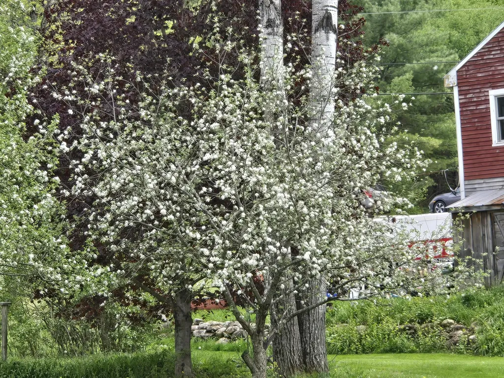 783 Paris Hill Road Paris ME 04281