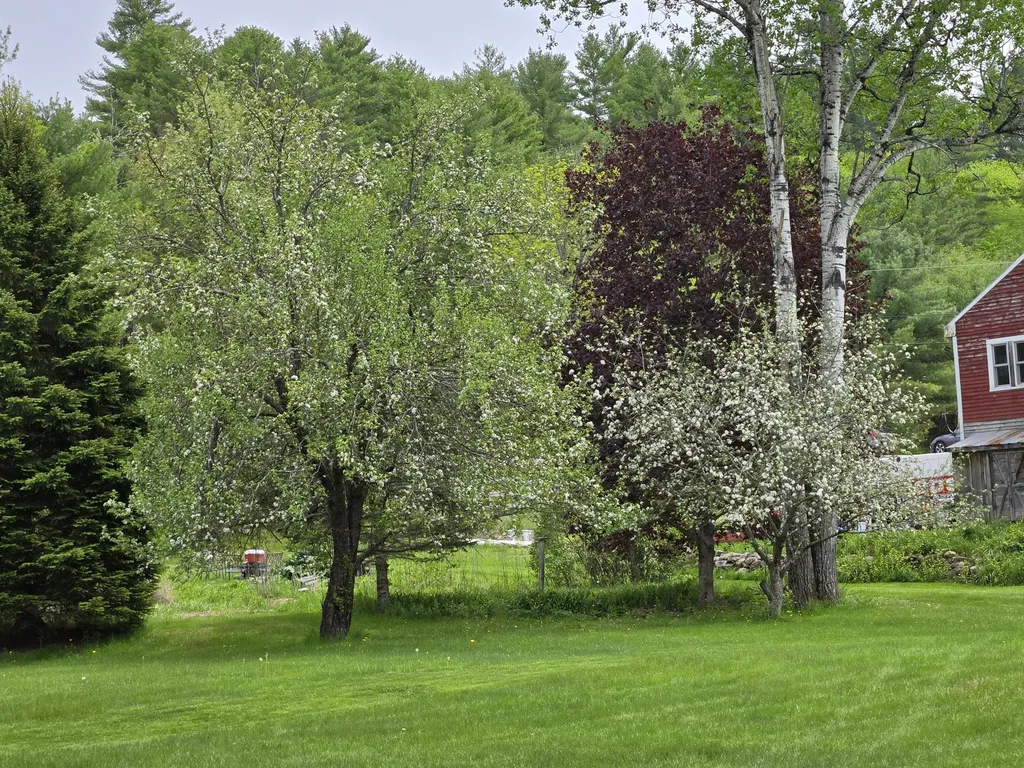 783 Paris Hill Road Paris ME 04281