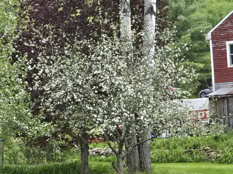 783 Paris Hill Road Paris ME 04281
