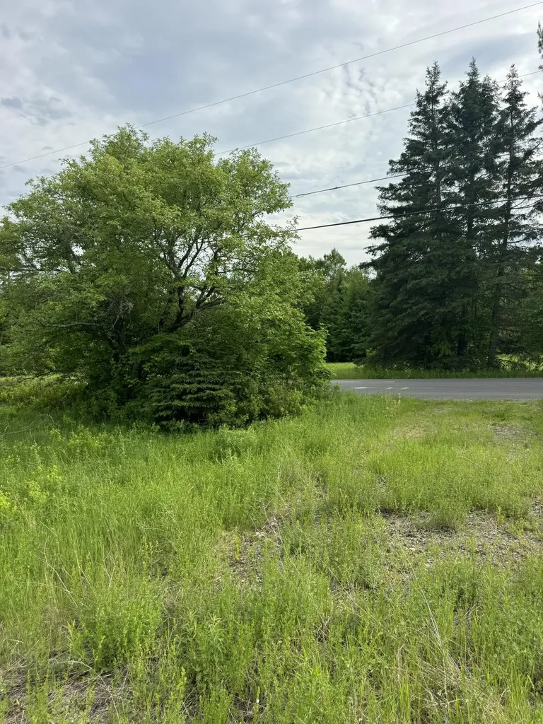 Lot 51 Peters Cove Road Orient ME 04471