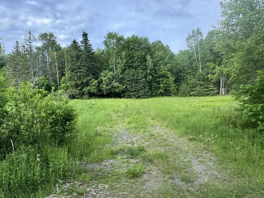 Lot 51 Peters Cove Road Orient ME 04471