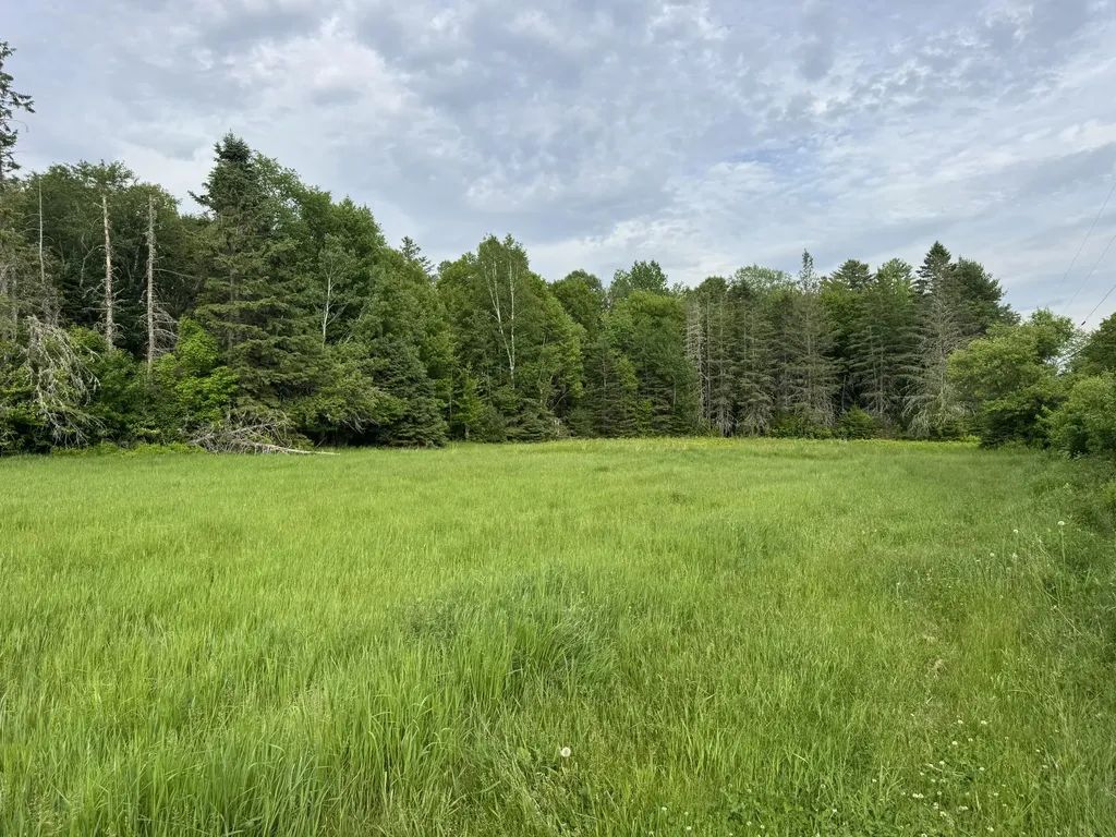 Lot 51 Peters Cove Road Orient ME 04471