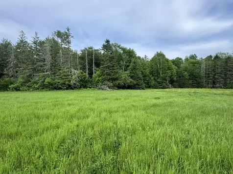Lot 51 Peters Cove Road Orient ME 04471