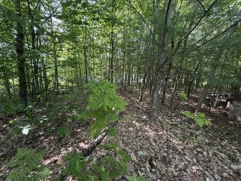 444 Campground Road Anson ME 04958