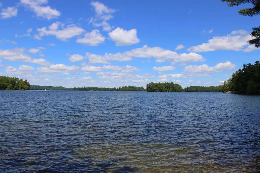 101 Goodwin Drive Litchfield ME 04350