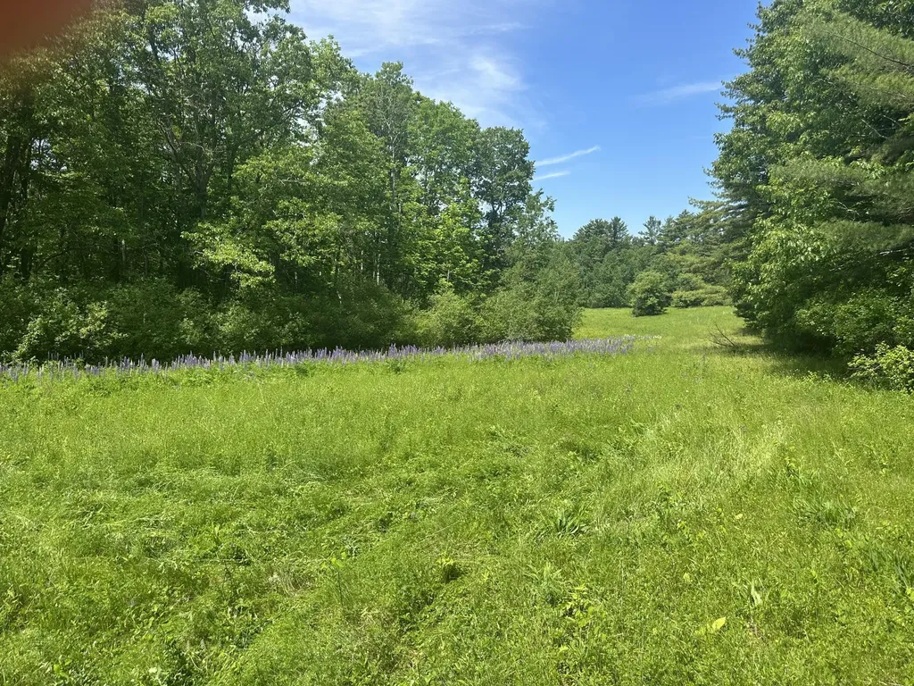 37 Herrick Road Belfast ME 04915